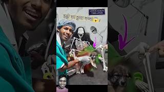 haadi 💀का कुत्ता हुआ😱😱 comedy​ dog​ [upl. by Brosy733]