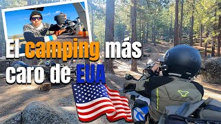 Bosque destruido 🔥 🇺🇸 Viaje de 🇨🇦 a México 🇲🇽 en moto 🏍️  ep 3 [upl. by Hamnet]