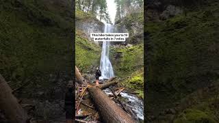 Want to see 10 waterfalls on one 7 mile hike Here’s how hiking [upl. by Gawlas355]