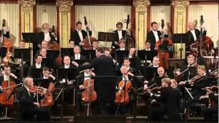 Beethoven Sinfonia 5 [upl. by Amle]