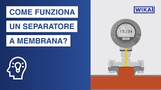 Come funziona un separatore a membrana  Aree di applicazione e vantaggi nelle misure di pressione [upl. by Irena]