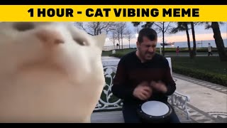 Cat Vibing To Ievan Polkka  1 HOUR  Cat Vibing Meme 😂 😂 😂 [upl. by Reppart]