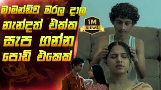 මාමව මරලා නැන්ද එකක් සැපගන්න පොඩිඑකෙක්  nay varan loncha movie sinhala explain  Maduwa review [upl. by Revorg]