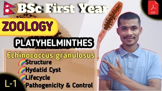 Echinococcus granulosus ● PLATYHELMINTHES ●BSc First Year ● ZOOLOGY ● TU [upl. by Bautista680]