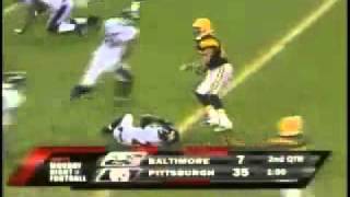 Hines Ward Levels Ed Reed [upl. by Hannaoj]