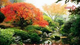 Japanisches Lied  Japanisches Musik Instrumental  Ruhig und Relaxed [upl. by Adnoral]