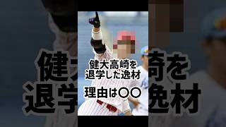 ドラフト1位、健大高崎を退学した逸材の今が衝撃的すぎた 野球 プロ野球 高校野球 甲子園 [upl. by Clarinda67]