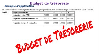 Budget de trésorerie avec exercice dapplication [upl. by Elyag78]