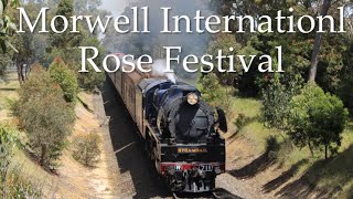 Steamrail’s R711 to the Morwell International Rose Festival [upl. by Admana]