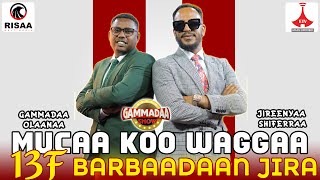 Jireenyaa Shifarraa on GammadaaShow Mucaa koo waggaa 13f barbaadaan jira Episode 30 2024 [upl. by Wettam613]