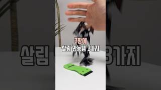 쿠팡 살림 만능템 3가지 살림남 [upl. by Esej206]