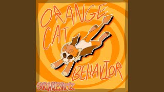 Orange Cat Behavior [upl. by Briscoe357]