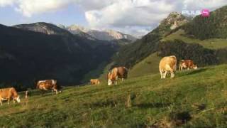 BioLebensmittel aus der Region  Zurück zum Ursprung im Cafe Puls [upl. by Ennovyhc]