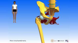 Apprendre lanatomie grâce à la 3D [upl. by Kire]