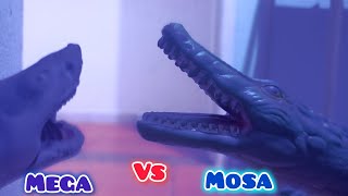 megalodonte vs mossauro stopmotion [upl. by Atinrev577]