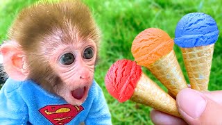 BonBon Monkey Come Helado de Arcoíris y Nada con su Cachorro  Bonbon Monkey en Español [upl. by Aretahs531]