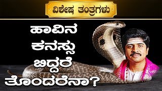 What Happens When Snake Comes in Dream  Special Tantric Remedies by Dr VinayYogi Guruji [upl. by Nauqas804]