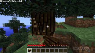 MineCon 2011 Notch Interview [upl. by Hasheem]