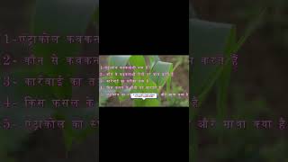 Antracoal fungicide use in hindi Bayer Propeneb 70 WP Bayer Product shorts shortsfeed [upl. by Dzoba]