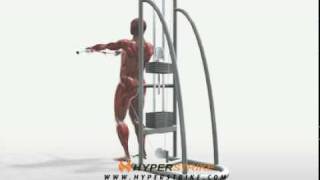 Exercise Videos Cable Shoulder Flexion with Bar  Standing [upl. by Gwenn]