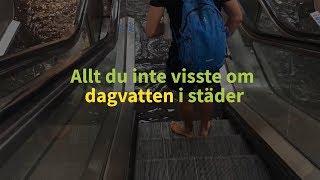 Rosendals dagvattensystem – allt du inte visste om dagvatten i städer [upl. by Ahsiea]