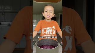 Jugo de Uva 🍇 cocinandoconmatthew jugonatural uva saludable batidosaludable smoothie fyp fy [upl. by Loux]