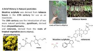 Natural Pesticides for PharmD students Oct 2024 [upl. by Aihsetan]