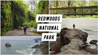 HIKING REDWOODS NATIONAL PARK  CALIFORNIA [upl. by Tu367]