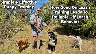 How On Leash Dog Training Leads To Off Leash Reliability When Hiking amp Adventuring [upl. by Nitsid]