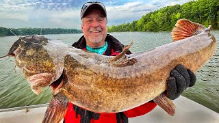 Flathead Catfish Bait Five Tips For Success [upl. by Rayner272]