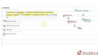 During the erythrocytic schizogony of plasmodium vivax fine granules appear [upl. by Beghtol366]