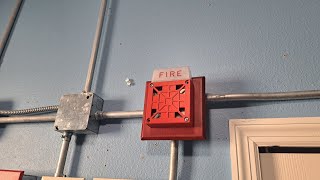 Notifier Fire Alarm System Test 23 Wheelock 7002T24 [upl. by Chilcote]