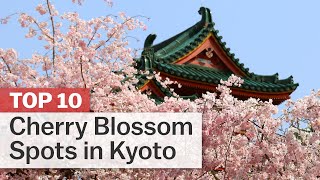 Top 10 Cherry Blossom Spots in Kyoto  japanguidecom [upl. by Calvin]