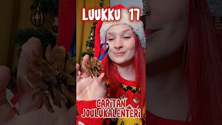 LUUKKU 17 Käpykoriste joulukuuseen 🎄 DIY [upl. by Noreik]