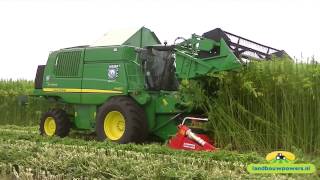 Hempharvest with New HempFlax Double Cut Combine  John Deere W660 [upl. by Macintosh]