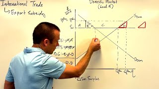 International Trade Export Subsidies [upl. by Ilarin]