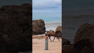 NIHI horses sumba indonesia edgeofwildness horsesrunning nihiwatu beach [upl. by Lindholm]