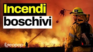 Cosa causa gli incendi e come si spengono [upl. by Aevin902]