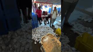 vlogger dighafishmarket youtubeshorts fish digha odiavlogs [upl. by Noleta]