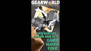 Repairing a Flender Gearbox [upl. by Suoirtemed984]