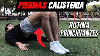 ✅🍗RUTINA para CRECER tus PIERNAS con CALISTENIA [upl. by Savinirs146]