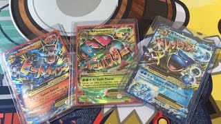 VenteEchange Trade Binder Pokémon Juin 2016 [upl. by Nrublim]