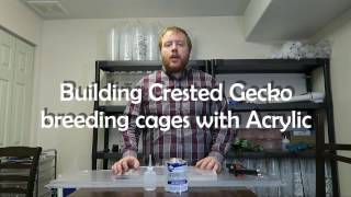 Crested Gecko Breeding Cages [upl. by Beatrisa]