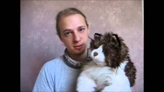 Handpuppen unter der Lupe  Ragdoll Cat von Folkmanis [upl. by Petromilli893]