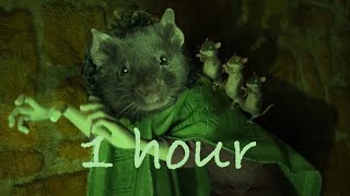 Bruno but its all rats  1 hour [upl. by Hnil]