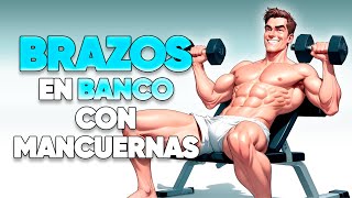 Descubre la Rutina de Brazos en Banco con Mancuernas PERFECTA [upl. by Ttocs]