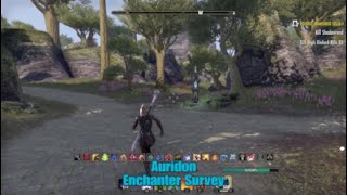 ESO Auridon Enchanter Survey Location The Elder Scrolls Online [upl. by Rizan986]