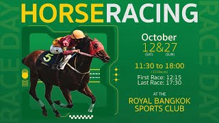 Thailand Horse Racing ไทยแลนด์ฮอร์สเรสซิ่ง  Saturday October 12th 2024 [upl. by Nonnac]