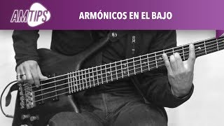 Audiomusica Tips  Armónicos en el bajo [upl. by Rodolphe]