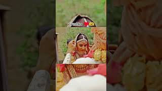 Wedding for virushka ♥️shortvideo viralshort viralvideo [upl. by Rednav]